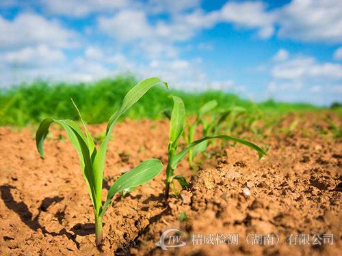 土壤、底泥和固體廢棄物檢測
